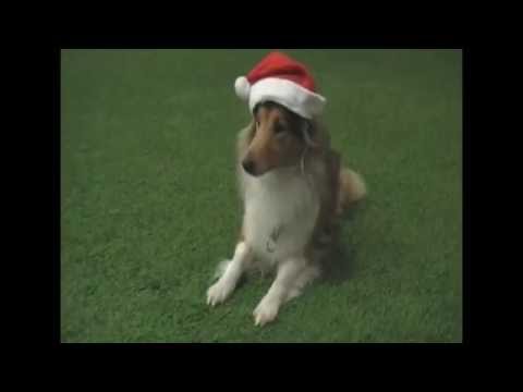 Julekalender 2013_15.des_ Nisselue