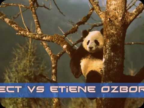 Fly Project vs Etienne Ozborne & Zoltan Kontes - I Really Goodbye ( bitUr eLe tribal mix )