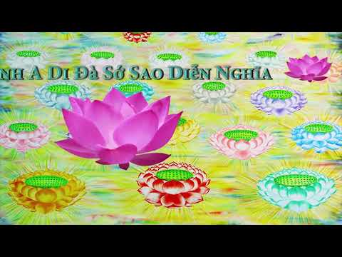 HD | Kinh A Di Đà Sớ Sao Diễn Nghĩa, tập 126 [phụ đề] - Lão Pháp Sư Tịnh Không