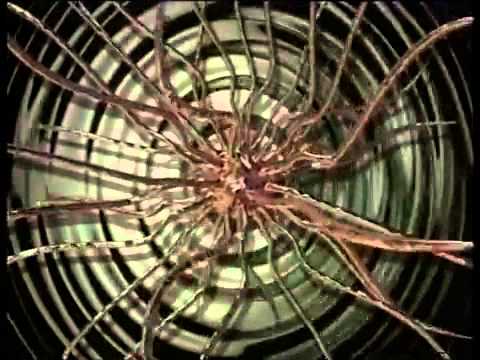 BPM Future Sound Of London Interview