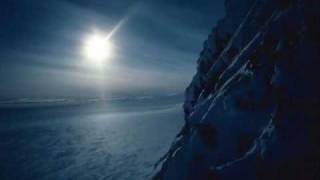 Forest Stream - Last Season Purity (part 2)