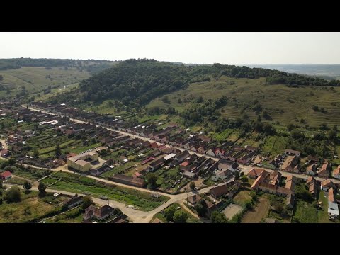 Plimbare matinală în aburi de alcool | Bărbat din Laslea la volan cu 1,37 alcoolemie | novatv.ro