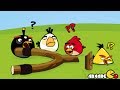 Angry Birds Go Crazy Angry Birds Eggs Saving Adventure