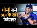 Dhoni SBI Msdhoni Sbi Ms Dhoni Sbi Sbi Brand Ambassador Sbi Q2 Result