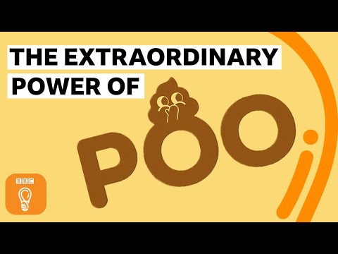 便便有機會拯救地球！你所不知道便便的好處 | BBC創意 (The extraordinary power of poo! | BBC Ideas)
