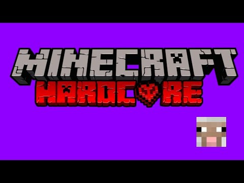 Minecraft Madness: Hardcore Late Night Vibes