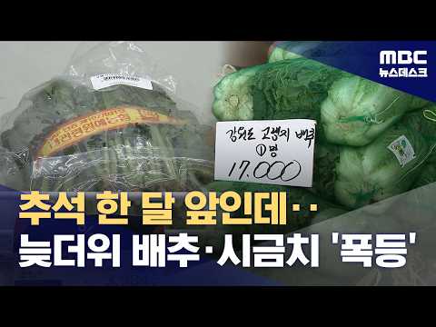 폭염이 계속되자 채소 값이 크게 올랐어요