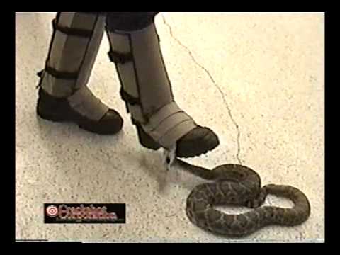 Do leg gaiters protect against snake bites?