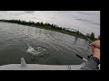 Video Thumbnail for Topwater Pike & Limit Fishing Walleye - Emma Lake Mashup