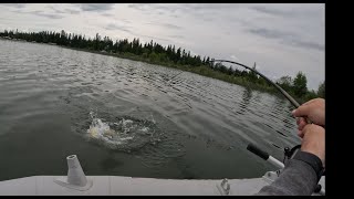 Topwater Pike &amp; Limit Fishing Walleye - Emma Lake Mashup