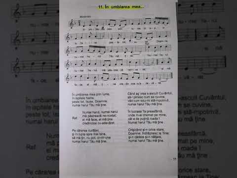 In umblarea mea - Nicolae Moldoveanu