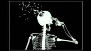 Beogradski sindikat-Alal vera