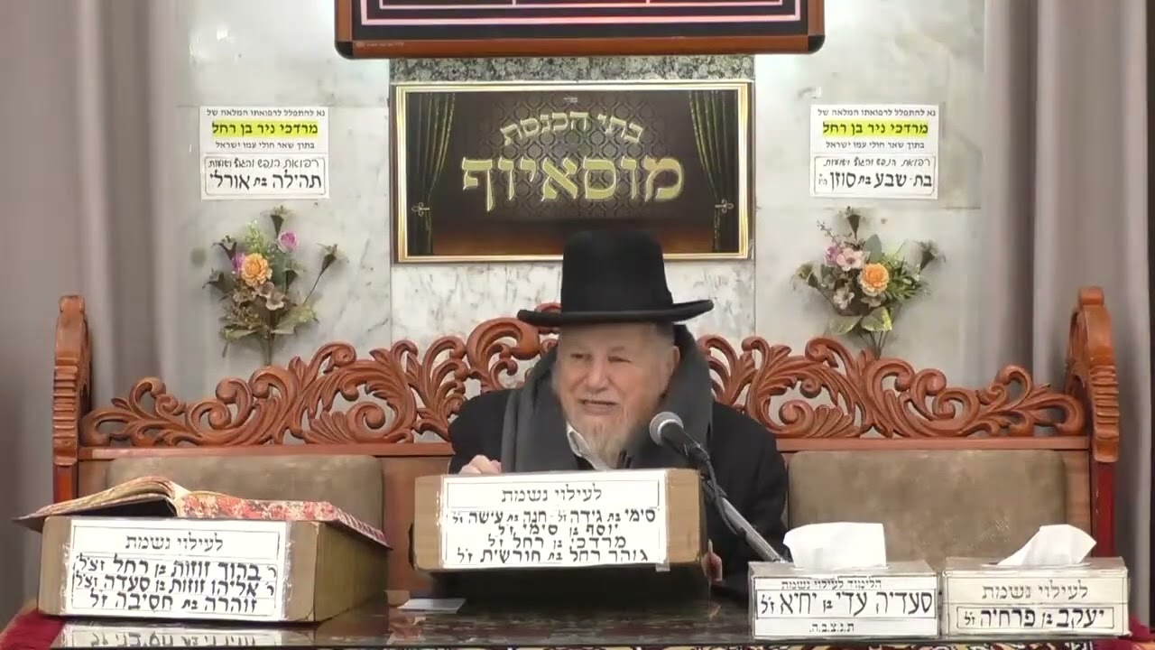 הרב מאיר מזוז   דף היומי   מוסאיוף