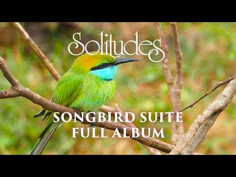 1 hour of Relaxing Music: Dan Gibson’s Solitudes - Songbird Suite (Full Album)