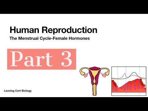 Human Reproduction Part 3-Menstrual Cycle-Leaving Cert Biology