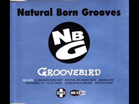 Natural Born Grooves - Groovebird (1996)