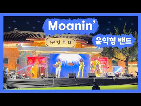 비디오 24