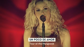 Shakira - Un Poco De Amor (Live - Tour of the Mongoose) [with English subtitles]