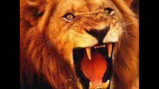 Download lagu Lagu persija 1928 RABBANI, anti viking mp3