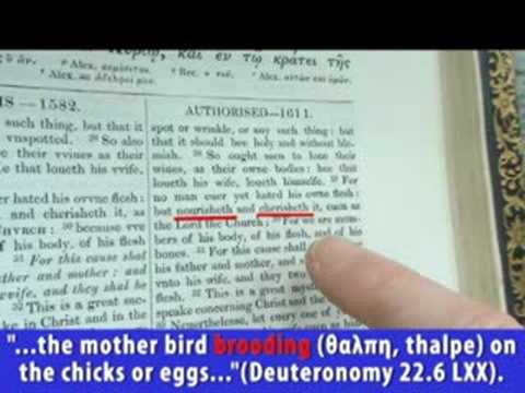 YouTube video thumbnail