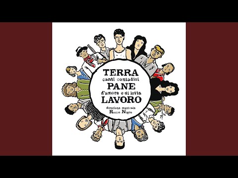 La ballata delle terre occupate