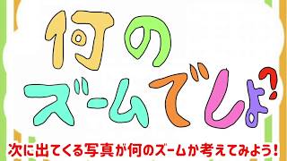何のズームでしょ？(1)