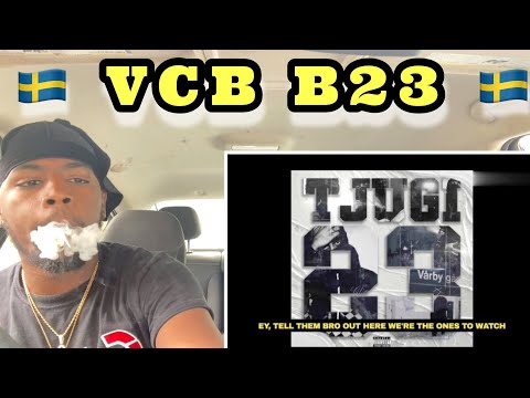 23 Ft VC Barre “VCB B23” CEO Reaction