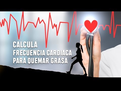 download lagu mp3 mp4 Frecuencia Cardiaca Para Quemar Grasa, download lagu Frecuencia Cardiaca Para Quemar Grasa gratis, unduh video klip Frecuencia Cardiaca Para Quemar Grasa