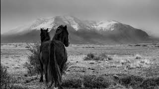 It´s easy - Versión instrumental - J.J.Cale &amp; Eric Clapton