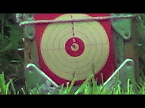 .177 Weihrauch HW97K at 50yds