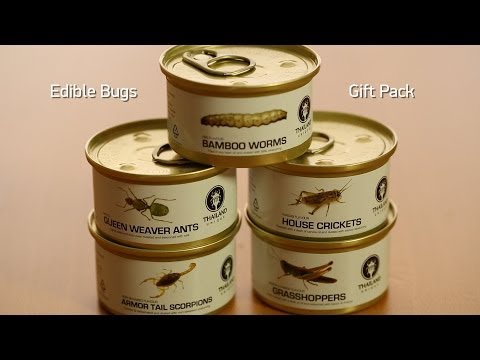 Edible Bugs Gift Pack from ThinkGeek