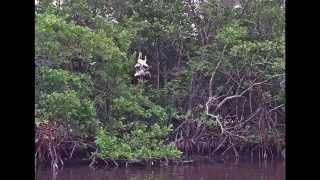 Woolverton Trail & Gasparilla Sound with Donny, Brook & Laurie