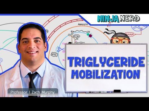 Biochemistry Michaelis Menten Equation