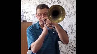 Ska Trombone 8 &quot;All My Friends Are Metalheads&quot; - Less Than Jake #shorts