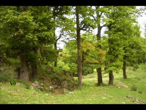 DJIMLA  bouafroun بوعفرون