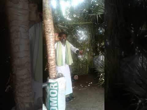 Konari acchiyya satram gollachaduvu