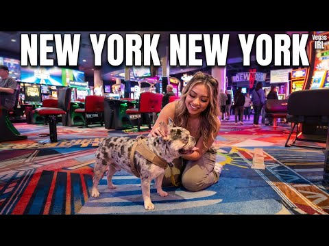 New York New York Las Vegas a top themed hotel casino
