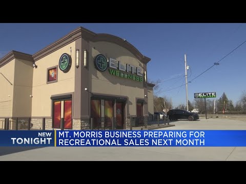 Mt Morris Dispensaries
