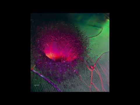 SHXCXCHCXSH - ......t (Full Album)