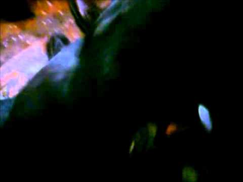 Persona Non Grata + Altsohl v Pažravej