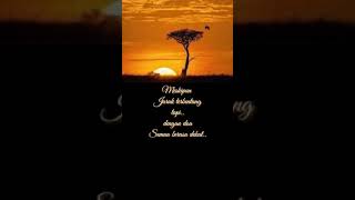 Download lagu Story' WA 'Dengarlah Bintang Hatiku' - De meises mp3