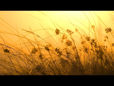 Sláviky - Po doline tichý vetrík veje
