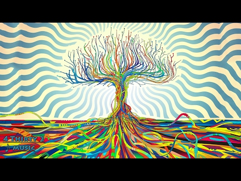 VO1D - Distortion 432hz [Trapstep]