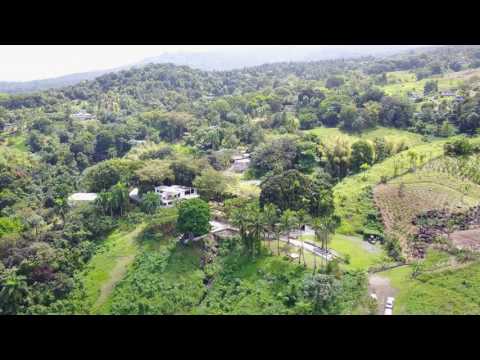 Hacienda Azucena Puerto Rico in Rio Grande with Mavic Pro by DJI