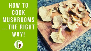 How To Cook Mushrooms (The Right Way!) | GroCycle