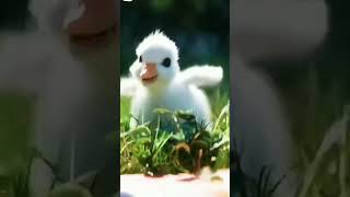 Download lagu Dil Hai Chota Sa chhoti Si Asha🖤....WhatsApp Status... mp3 Download lagu Dil Hai Chota Sa chhoti Si Asha🖤....WhatsApp Status... mp3