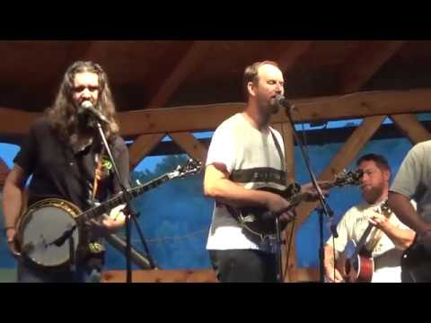 Taverna newgrass - TAVERNA - Sally