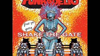 FUNKADELIC - RADIO FRIENDLY