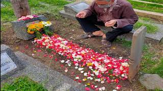 Download lagu MPEG-4 - CAMELIA IV - Ebiet G Ade Full HD Resolution mp3