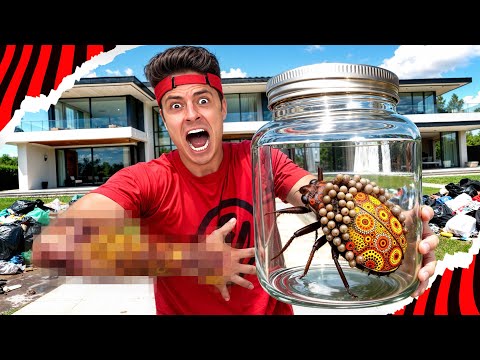 A strange bug bit me in the trash!